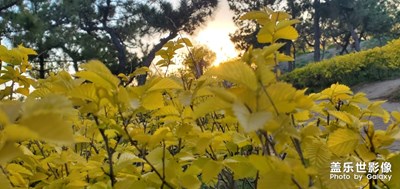 美好的，值得留在相冊里