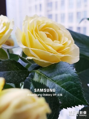 四月隨手拍（三）