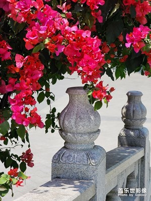 春日麗影＋浮生偷得半日閒