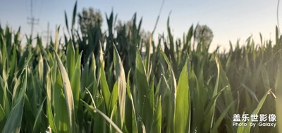 生活從來都不單調(diào)