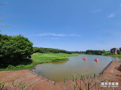 【春日麗影】+陰晴不定