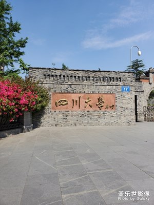 滿墻春紅，盛開在華西壩