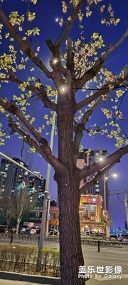 夜景-平凡的生活，也充滿色彩