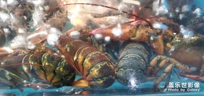 【五一美食嗨不?！?好希望五一能再吃一次這些美食