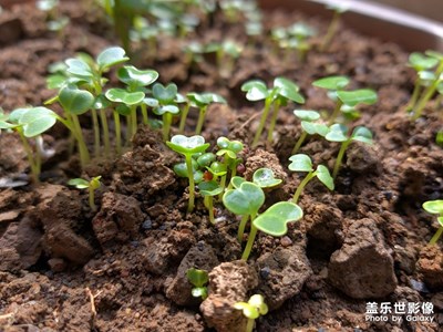 【享受生活】+小城市的悠閑生活