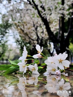 靜影翻倍_影