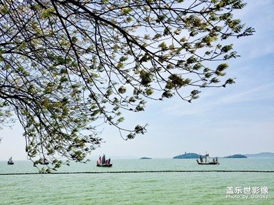 無錫 黿頭渚 踏春