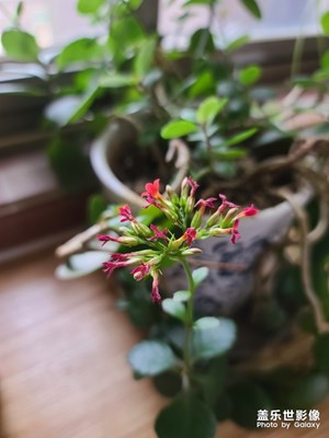 【享受生活】+宅在家生活