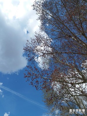 【享受生活】+江邊一游