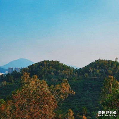 又是美好的一天