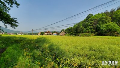 農(nóng)村的農(nóng)村