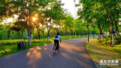 武漢東湖綠道隨拍