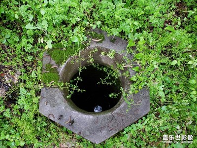 【享受生活】4月底雨后散步隨手拍