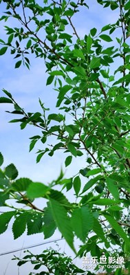 沒有靈感，拍不出來好看的東西