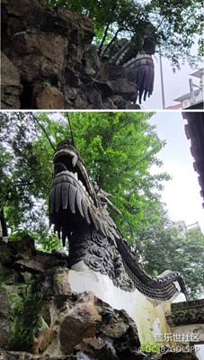 2020立夏 雨中的雕龍&錦鯉