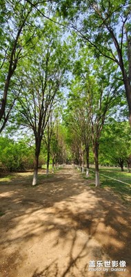 留住這個(gè)春天！