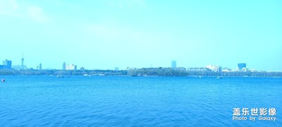 長春-南湖-我眼里的樹