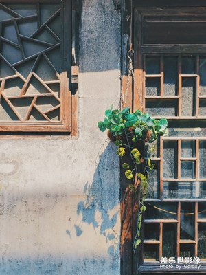 【享受生活】身邊的一些小美好