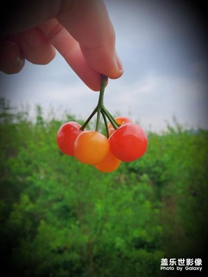 【精彩翻倍】+ 細節(jié)處發(fā)現(xiàn)生活之美