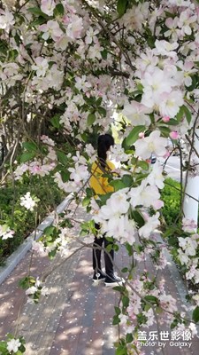 【精彩翻倍】+ 背影