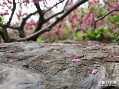 【精彩翻倍】+初夏