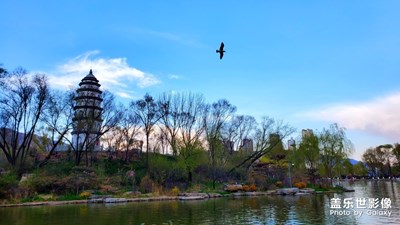 精彩翻倍-西寧市人民公園