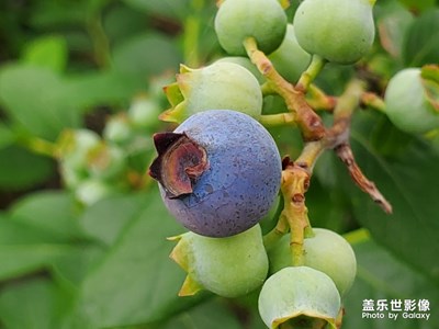 生活隨意拍下有意思的物