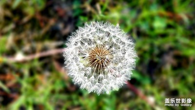 【精彩翻倍】+美麗在身邊-用心去發(fā)現(xiàn)