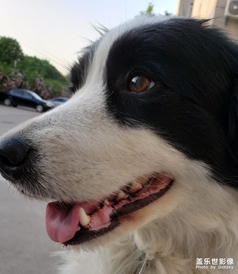 【印象五月】五月關(guān)中