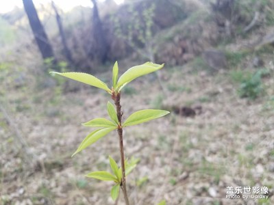 有*地方才是家，媽媽節(jié)日快樂(lè)??