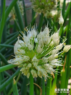 【印象五月】＋熱情的五月告白