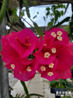 【印象五月】+出游后的閑暇