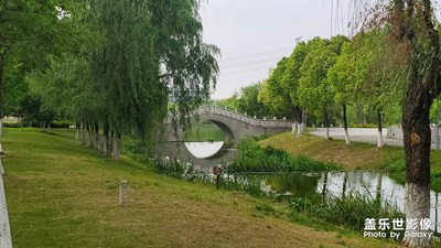 學(xué)校隨手拍