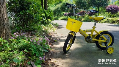 【印象五月】+歲月靜好