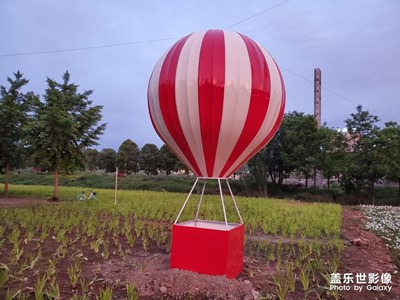 【印象五月】+公園隨手拍