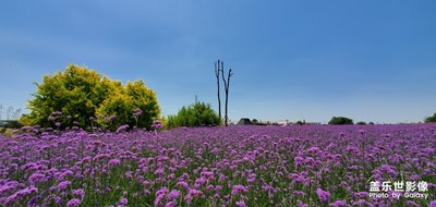 我就不喜歡調(diào)色 原汁原味