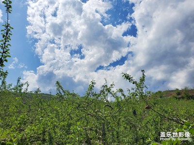 西北黃土高坡風光