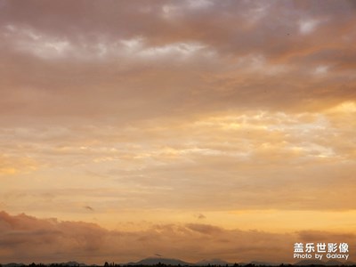 喜歡不是一時半會