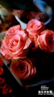 #紅的溫度#我的拍照作品