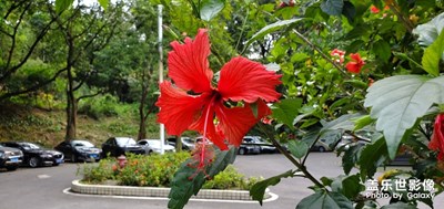【在夏日】+廣州夏日