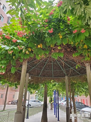 【在夏日】+夏日的午后