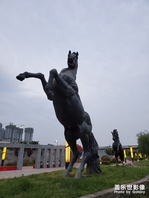 【在夏日】+駿馬奔騰