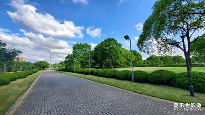 精彩翻倍-一個(gè)沒有汽車的汽車公園