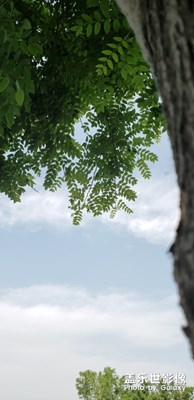 不專業(yè)，業(yè)余拍攝