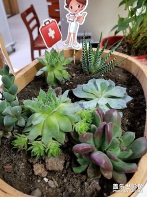 【在夏日】+平平淡淡的生活