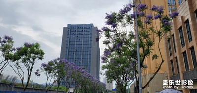 【我美麗城】+美麗重慶