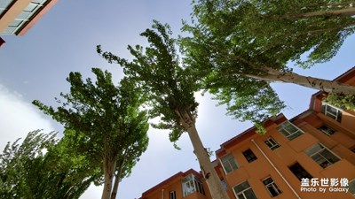 【我美麗城】+美麗朔州