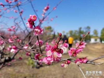 s8+隨手拍，還是可以的