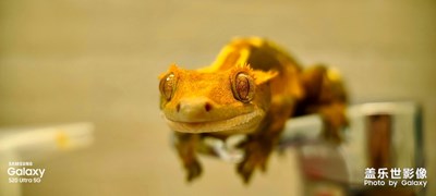 戳里戳克的《隨拍》第四期