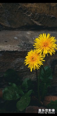 生活像一把無情刻刀